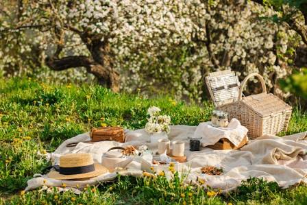 8 Must-Know Tips for Packing the Perfect Picnic Basket