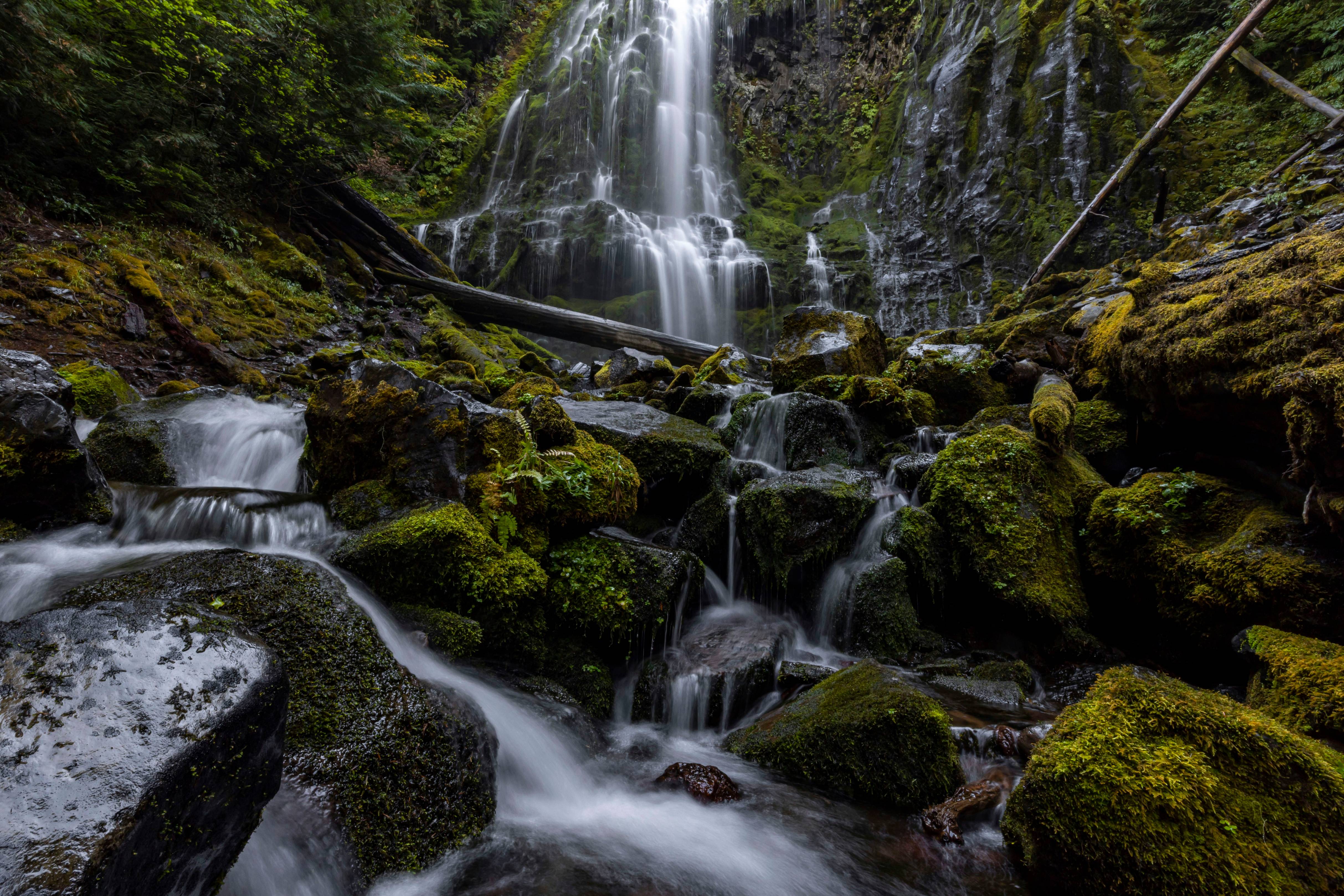a small waterfall in the middle of a forest