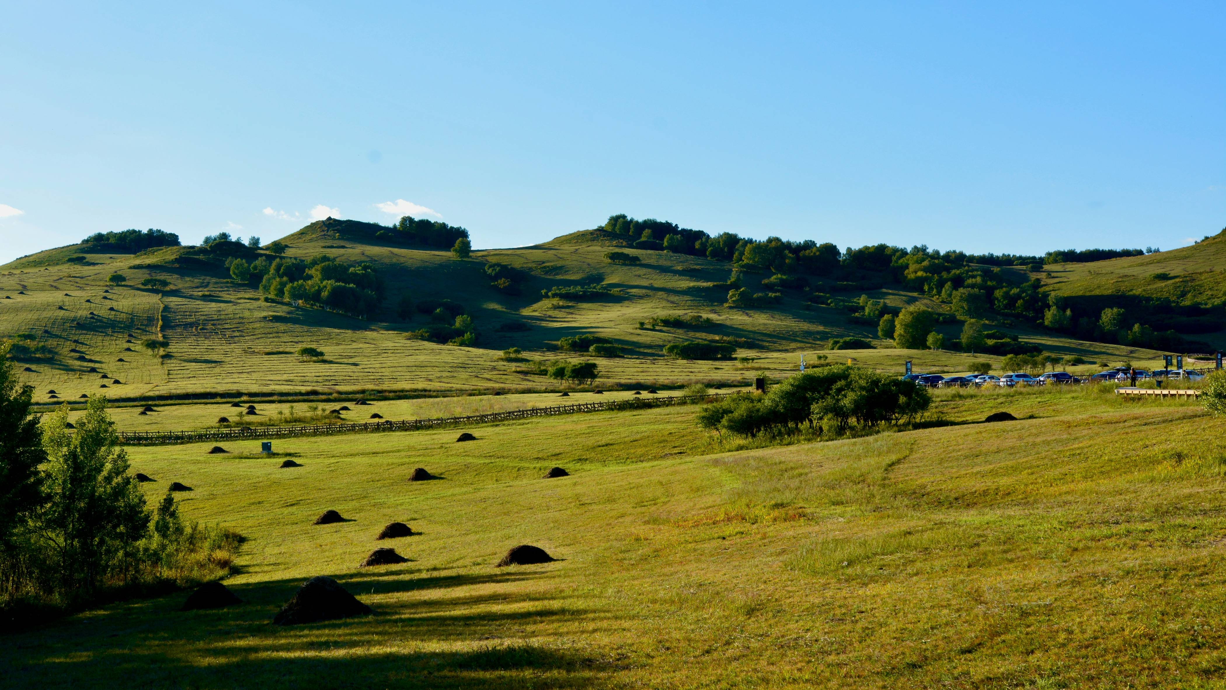 A grassy field with a hill in the background