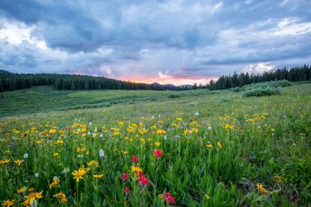 The 4 Seasons: Nature's Annual Cycle Explained