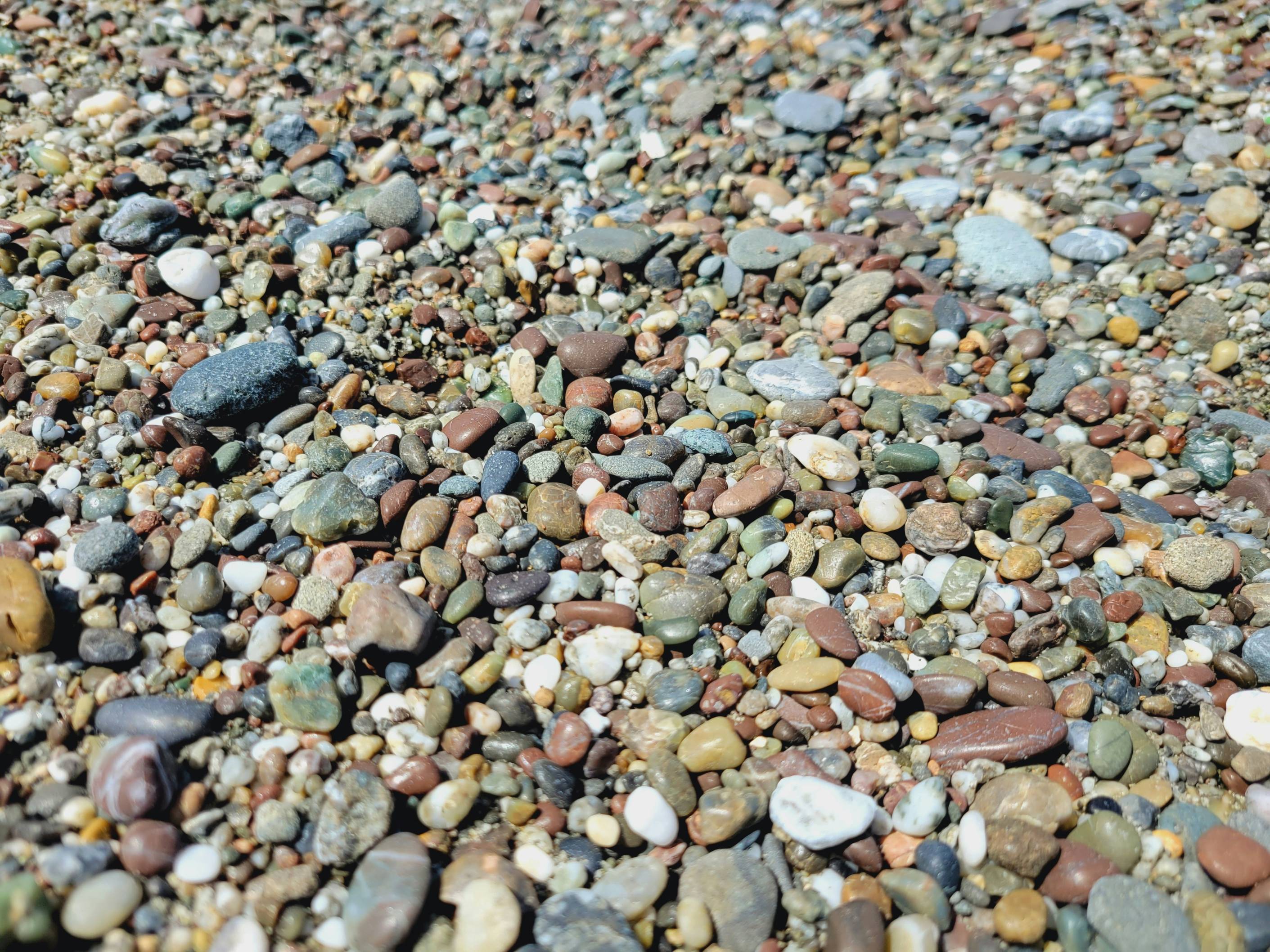 a bunch of rocks that are laying on the ground