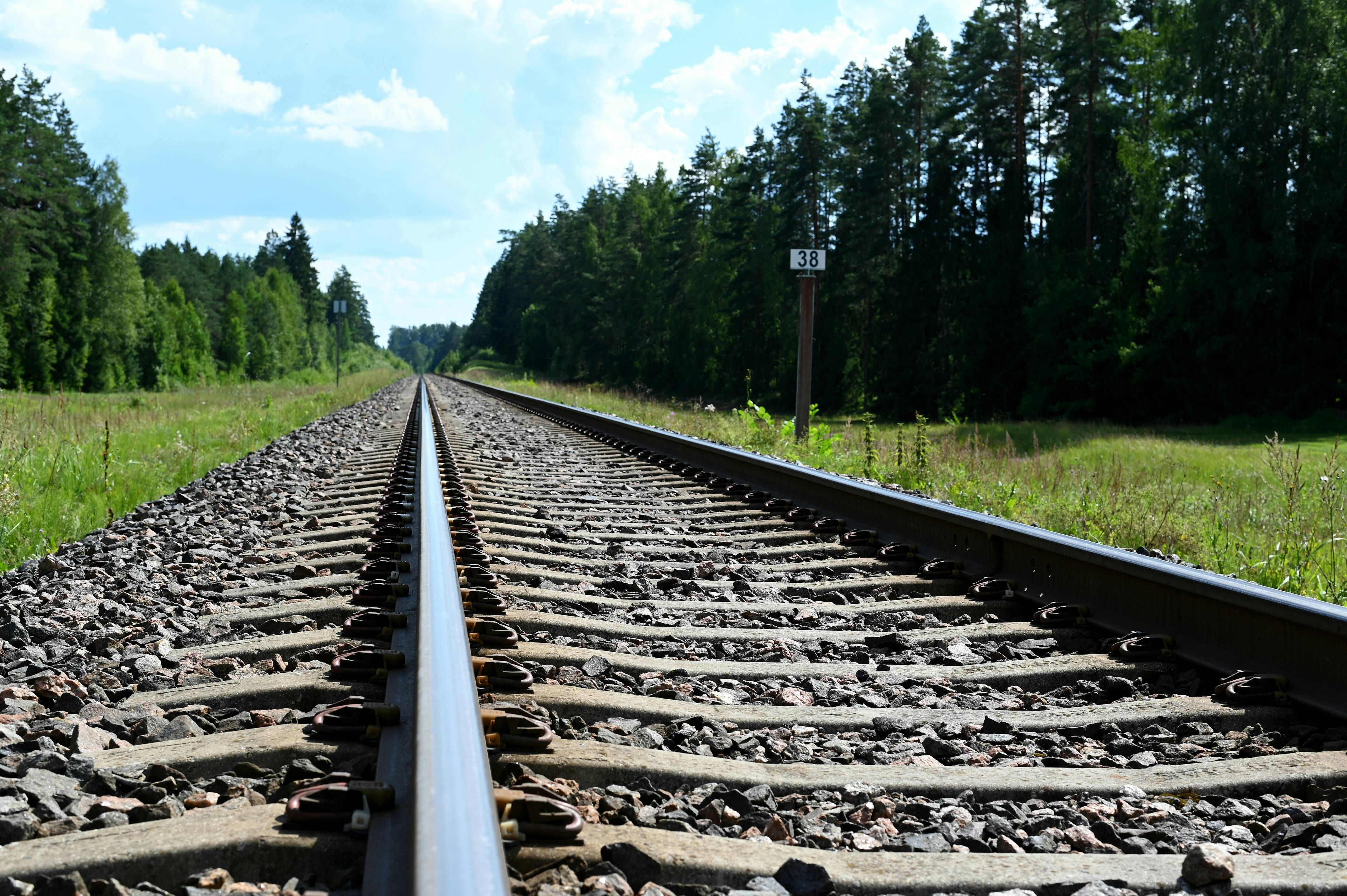 a train track running through a lush green forest