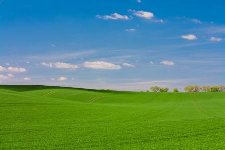 World’s Most Stunning Grasslands: A Visual Journey