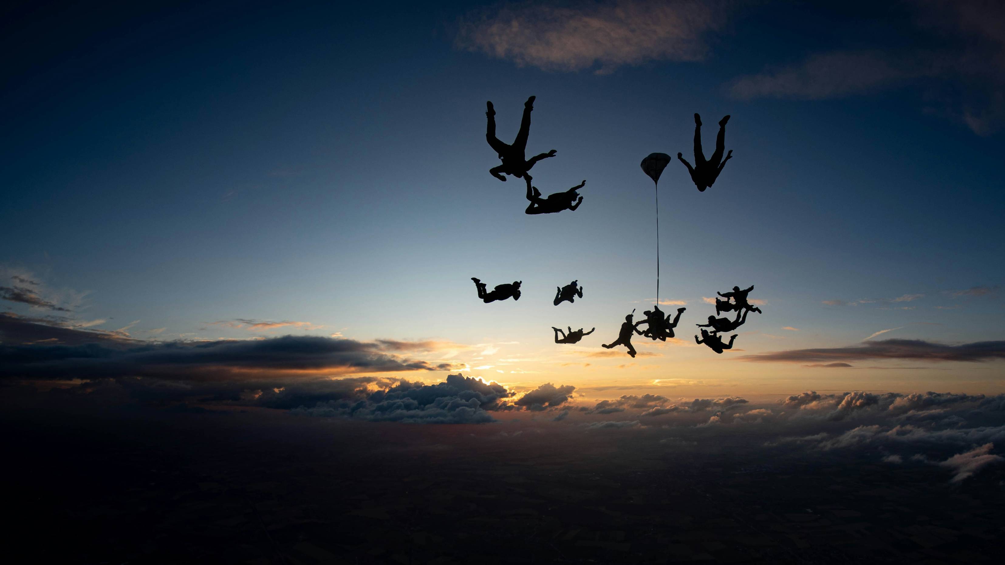A group of birds flying in the sky