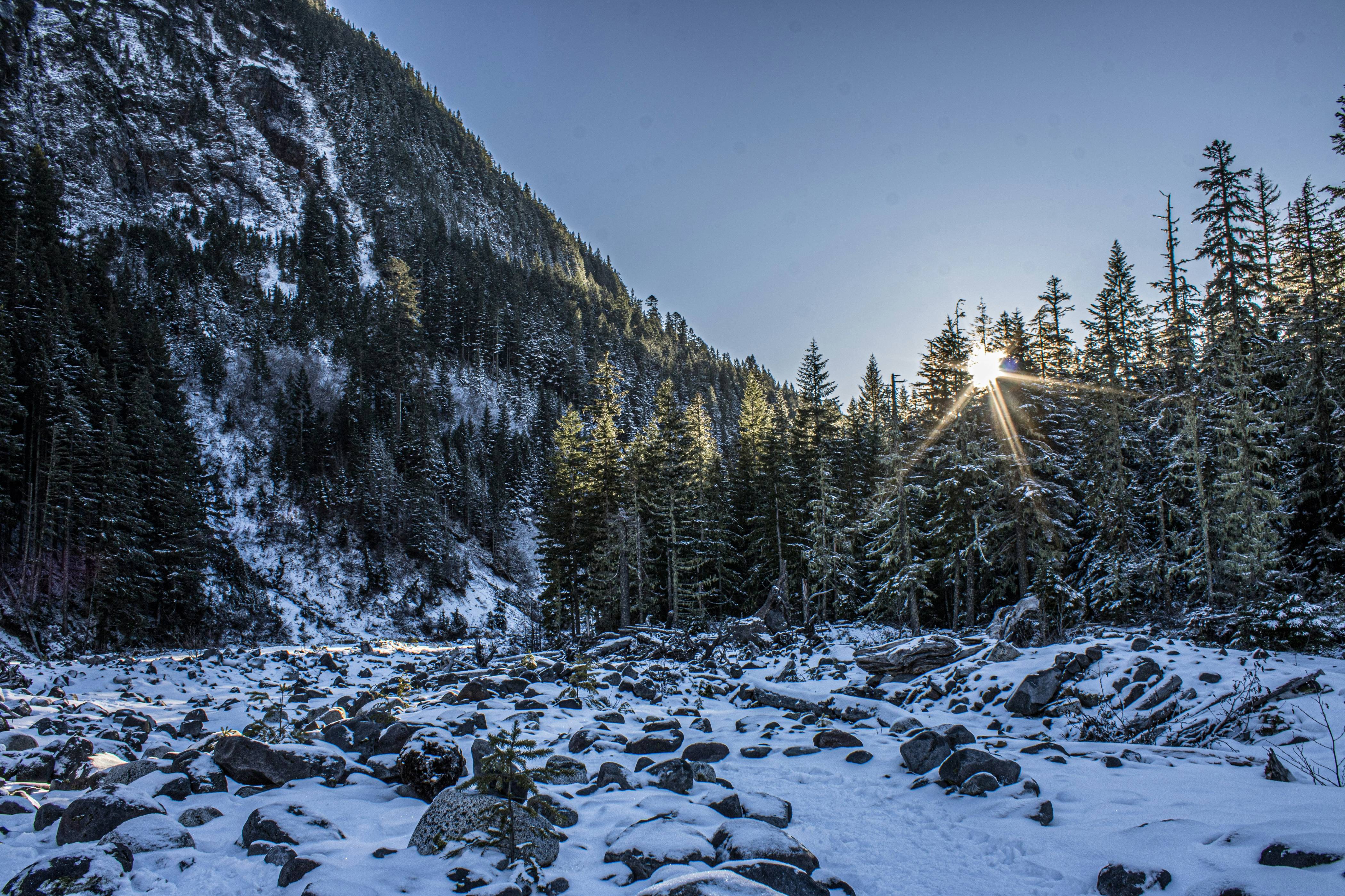 the sun shines brightly through the trees in the mountains