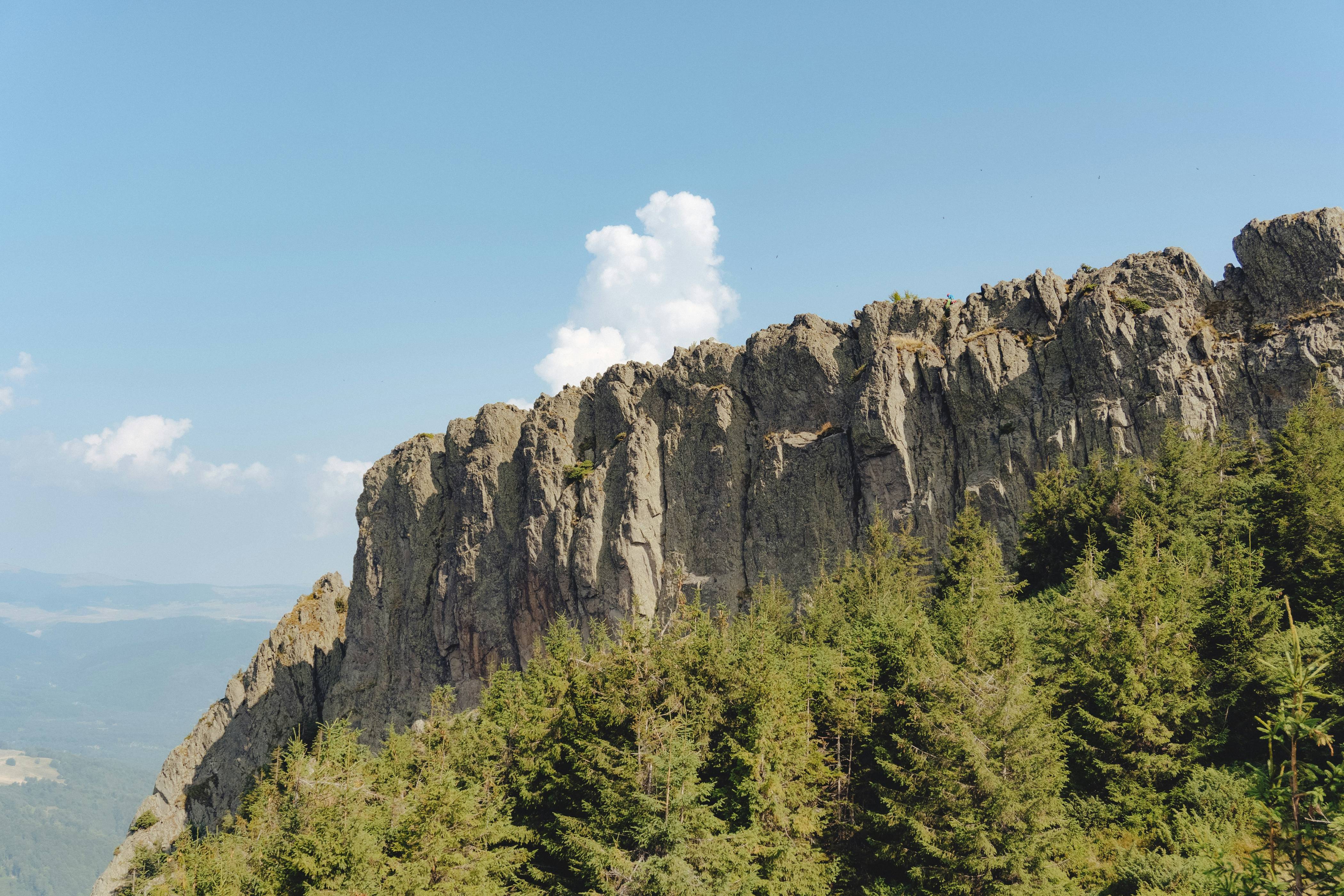 A view of a mountain with trees on the side of it