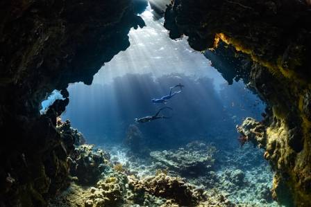 Essential Rules for Scuba Diving and Freediving