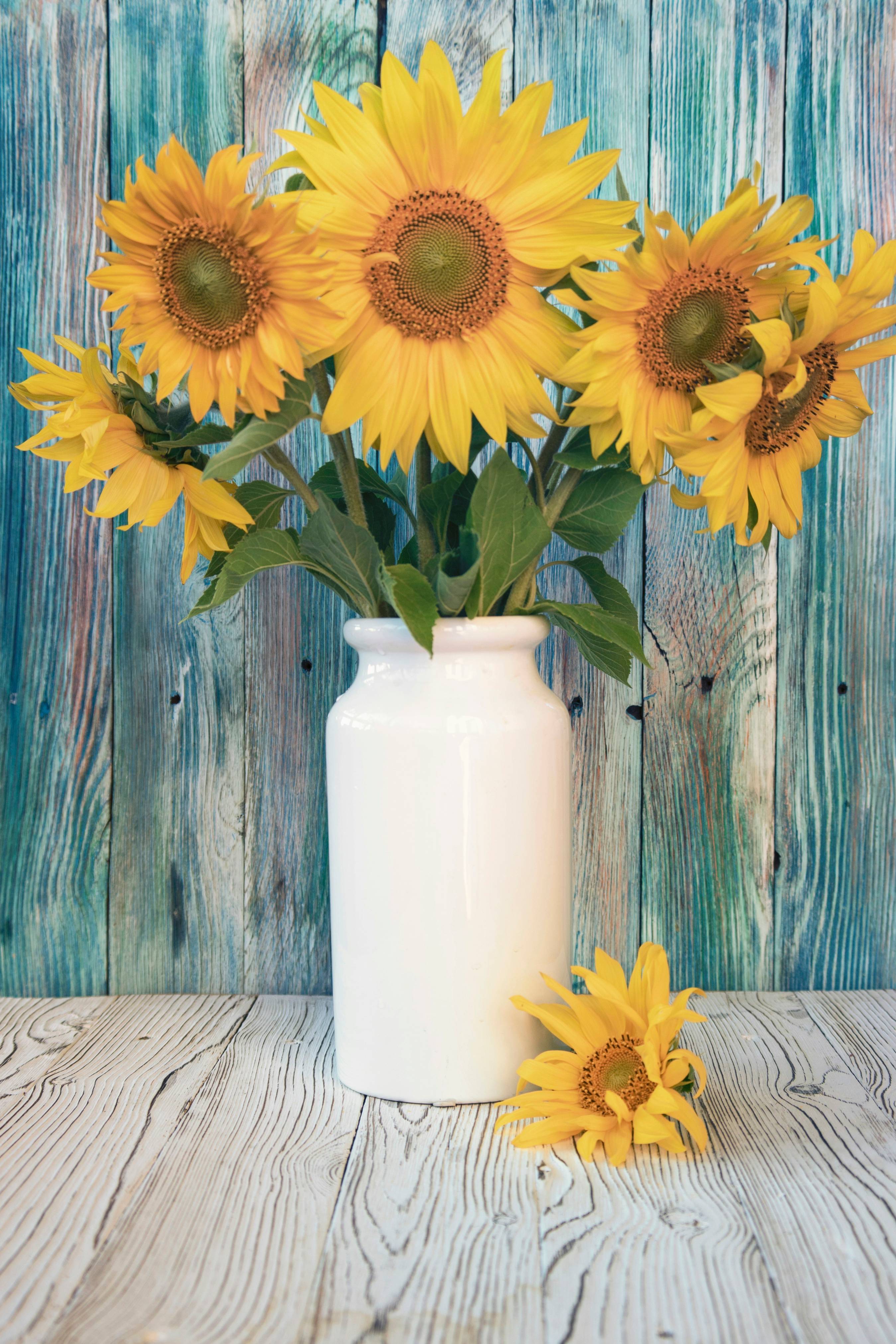 yellow sunflower in white ceramic vase