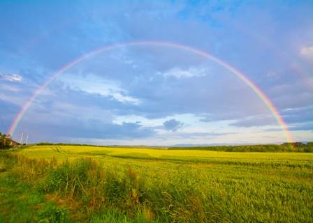 The Symbolism and Beauty of Rainbows in Art Through the Ages 