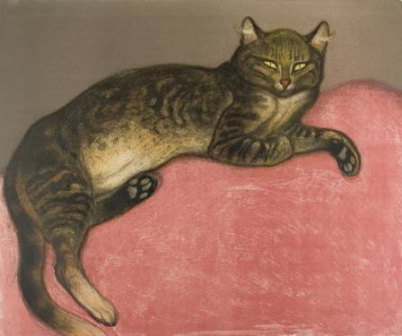 How to Draw a Cat