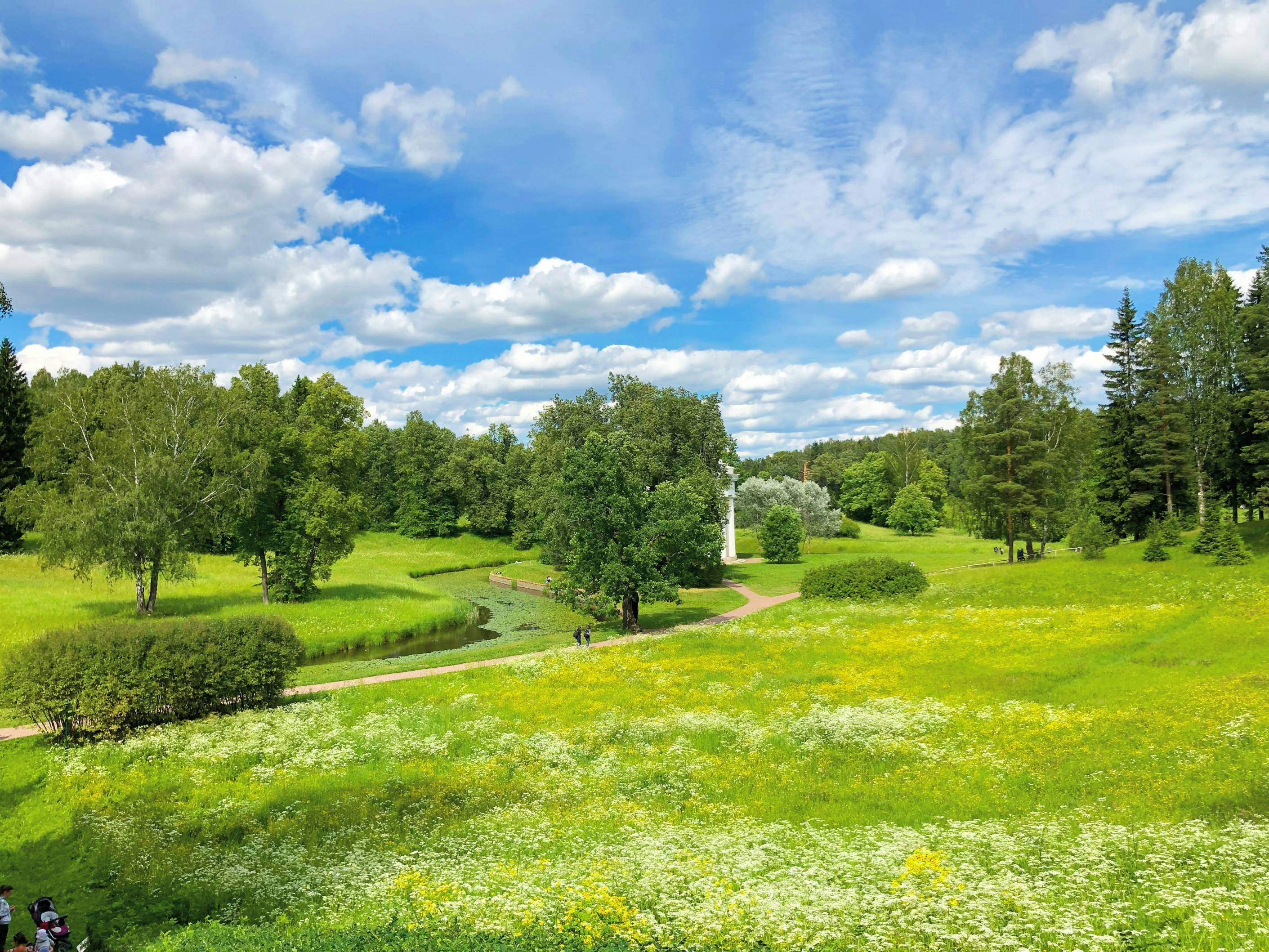 green grass field with trees under blue sky and white clouds during daytime