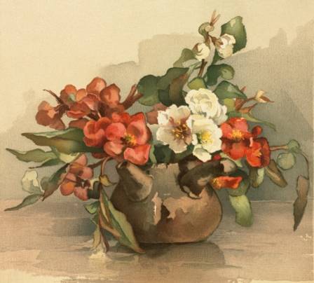 Chronicles of the Vessel: Exploring the Evolution of Vases